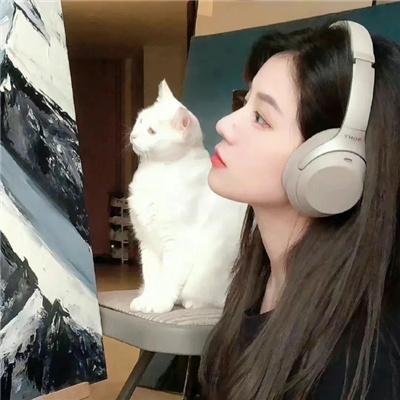 天作谜案
